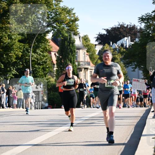 01.09.2024 - BARMER Alsterlauf Dr. Thomas Lammeyer http://msf.ph/oto/6895066 01.09.2024 09:32:05 Laufen 3923, 4738, 343, 5167, 2017 meine-sportfotos.de