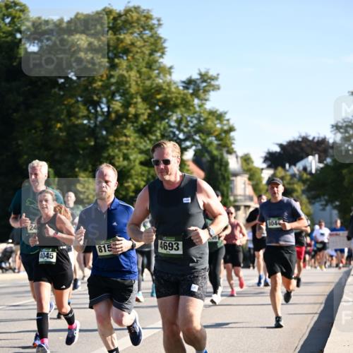 01.09.2024 - BARMER Alsterlauf Dr. Thomas Lammeyer http://msf.ph/oto/6896082 01.09.2024 09:34:01 Laufen 24, 4045, 815, 4693, 8044 meine-sportfotos.de