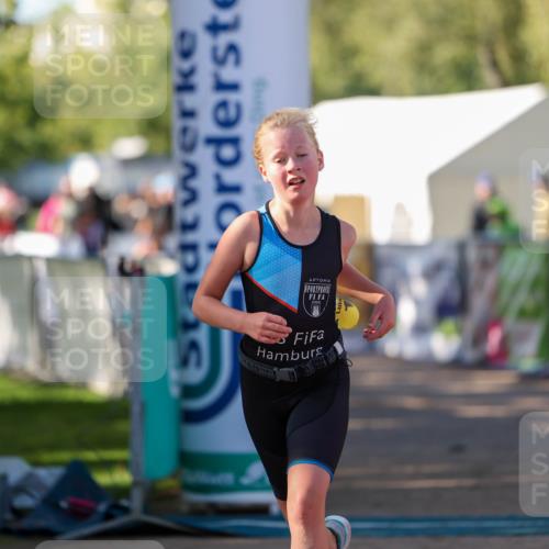 01.09.2024 - 17. Tribühne Triathlon Michael Strokosch http://msf.ph/oto/6896995 01.09.2024 09:50:40 Ziel 63, 78, 79, 100 meine-sportfotos.de