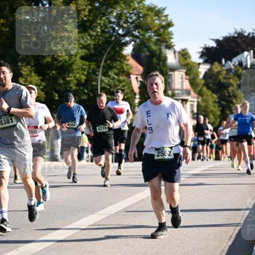 01.09.2024 - BARMER Alsterlauf Dr. Thomas Lammeyer http://msf.ph/oto/6897179 01.09.2024 09:35:31 Laufen 8381, 4568, 260, 4218, 13, 2562 meine-sportfotos.de