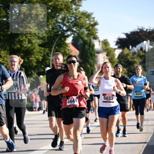 01.09.2024 - BARMER Alsterlauf Dr. Thomas Lammeyer http://msf.ph/oto/6898194 01.09.2024 09:36:24 Laufen 2657, 4441, 1063, 5033, 8059 meine-sportfotos.de