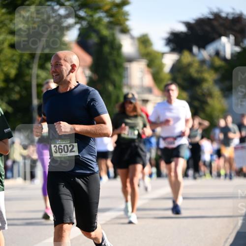 01.09.2024 - BARMER Alsterlauf Dr. Thomas Lammeyer http://msf.ph/oto/6900647 01.09.2024 09:38:09 Laufen 3602 meine-sportfotos.de