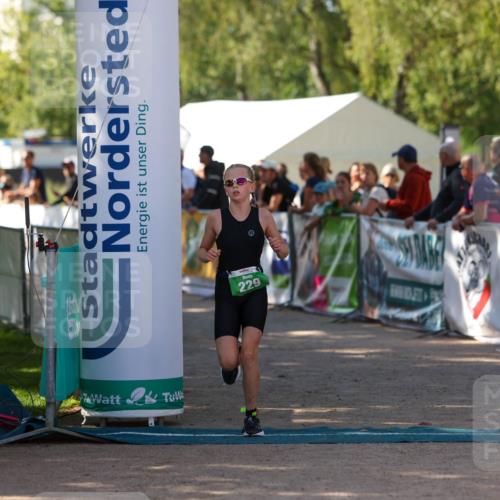 01.09.2024 - 17. Tribühne Triathlon Michael Strokosch http://msf.ph/oto/6903272 01.09.2024 11:03:23 Ziel 227, 229, 233 meine-sportfotos.de