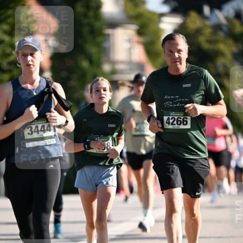01.09.2024 - BARMER Alsterlauf Dr. Thomas Lammeyer http://msf.ph/oto/6904639 01.09.2024 09:40:34 Laufen 11, 3444, 3444, 35, 35, 35, 35, 4266 meine-sportfotos.de