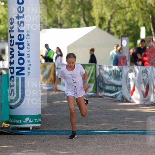 01.09.2024 - 17. Tribühne Triathlon Michael Strokosch http://msf.ph/oto/6906543 01.09.2024 11:12:13 Ziel 173, 196 meine-sportfotos.de