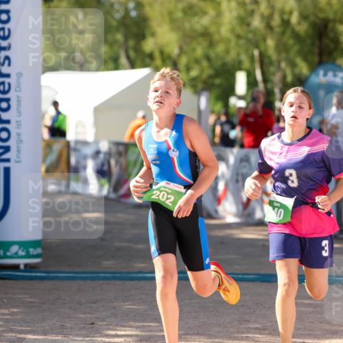 01.09.2024 - 17. Tribühne Triathlon Michael Strokosch http://msf.ph/oto/6906843 01.09.2024 11:13:15 Ziel 201, 202, 240 meine-sportfotos.de
