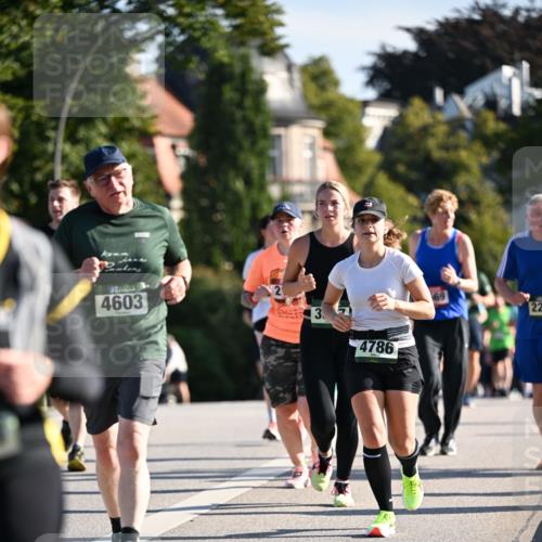 01.09.2024 - BARMER Alsterlauf Dr. Thomas Lammeyer http://msf.ph/oto/6908064 01.09.2024 09:43:06 Laufen 4603, 4786, 22 meine-sportfotos.de