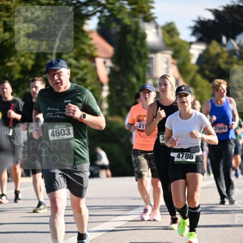 01.09.2024 - BARMER Alsterlauf Dr. Thomas Lammeyer http://msf.ph/oto/6908077 01.09.2024 09:43:07 Laufen 912, 4603, 219, 3, 4786, 2569 meine-sportfotos.de