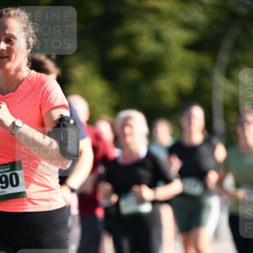 01.09.2024 - BARMER Alsterlauf Dr. Thomas Lammeyer http://msf.ph/oto/6911817 01.09.2024 09:45:48 Laufen 90 meine-sportfotos.de