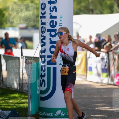 01.09.2024 - 17. Tribühne Triathlon Michael Strokosch http://msf.ph/oto/6912025 01.09.2024 12:08:00 Ziel 318, 442 meine-sportfotos.de
