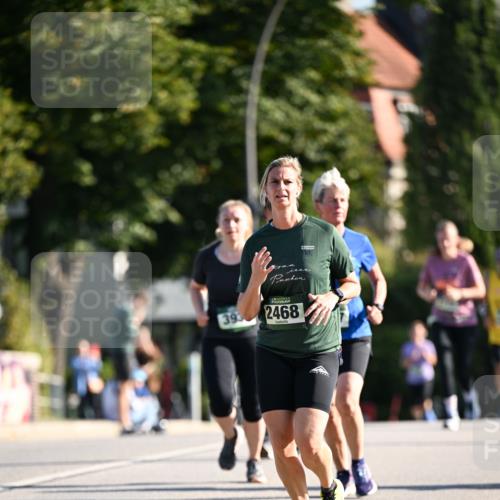 01.09.2024 - BARMER Alsterlauf Dr. Thomas Lammeyer http://msf.ph/oto/6913860 01.09.2024 09:47:09 Laufen 393, 2468 meine-sportfotos.de