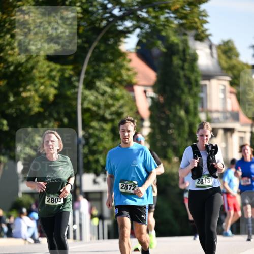 01.09.2024 - BARMER Alsterlauf Dr. Thomas Lammeyer http://msf.ph/oto/6915960 01.09.2024 09:48:38 Laufen 2803, 2872, 2873 meine-sportfotos.de