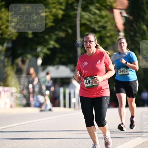 01.09.2024 - BARMER Alsterlauf Dr. Thomas Lammeyer http://msf.ph/oto/6917246 01.09.2024 09:49:39 Laufen 442, 3482 meine-sportfotos.de