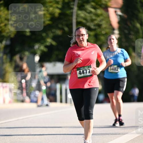 01.09.2024 - BARMER Alsterlauf Dr. Thomas Lammeyer http://msf.ph/oto/6917255 01.09.2024 09:49:40 Laufen 35, 4477, 3482 meine-sportfotos.de