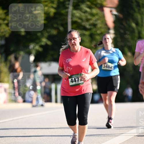 01.09.2024 - BARMER Alsterlauf Dr. Thomas Lammeyer http://msf.ph/oto/6917258 01.09.2024 09:49:40 Laufen 135, 4472, 3482 meine-sportfotos.de