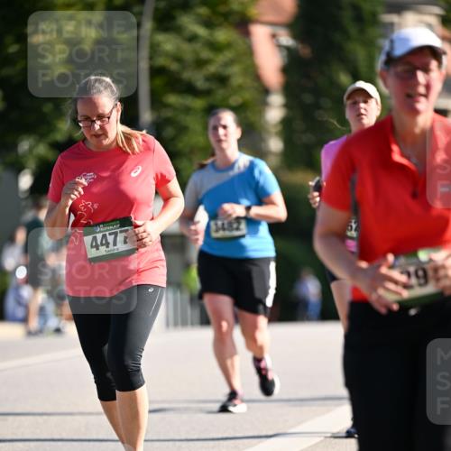 01.09.2024 - BARMER Alsterlauf Dr. Thomas Lammeyer http://msf.ph/oto/6917271 01.09.2024 09:49:40 Laufen 4477, 3482, 9 meine-sportfotos.de