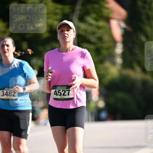 01.09.2024 - BARMER Alsterlauf Dr. Thomas Lammeyer http://msf.ph/oto/6917361 01.09.2024 09:49:43 Laufen 3482, 35, 4527 meine-sportfotos.de