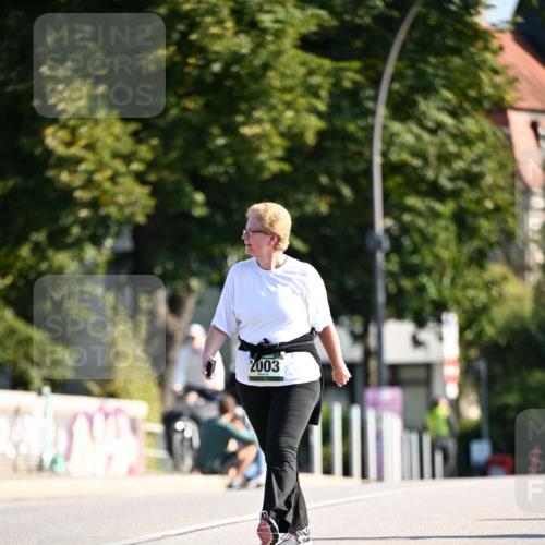 01.09.2024 - BARMER Alsterlauf Dr. Thomas Lammeyer http://msf.ph/oto/6917578 01.09.2024 09:50:05 Laufen 2003 meine-sportfotos.de