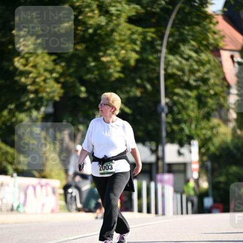 01.09.2024 - BARMER Alsterlauf Dr. Thomas Lammeyer http://msf.ph/oto/6917583 01.09.2024 09:50:05 Laufen 2003 meine-sportfotos.de