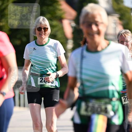 01.09.2024 - BARMER Alsterlauf Dr. Thomas Lammeyer http://msf.ph/oto/6917796 01.09.2024 09:50:12 Laufen 35, 2500, 28 meine-sportfotos.de