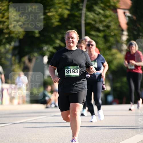 01.09.2024 - BARMER Alsterlauf Dr. Thomas Lammeyer http://msf.ph/oto/6918486 01.09.2024 09:50:44 Laufen 35, 8193 meine-sportfotos.de