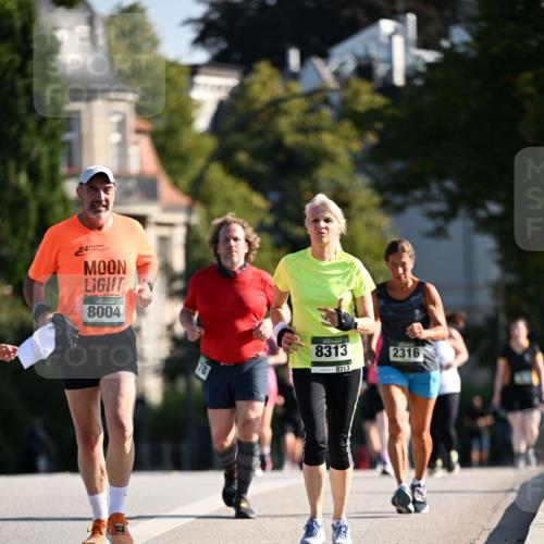 01.09.2024 - BARMER Alsterlauf Dr. Thomas Lammeyer http://msf.ph/oto/6919604 01.09.2024 09:51:32 Laufen 8004, 78, 8313, 8313, 2316 meine-sportfotos.de