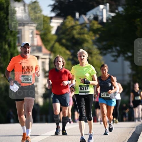 01.09.2024 - BARMER Alsterlauf Dr. Thomas Lammeyer http://msf.ph/oto/6919611 01.09.2024 09:51:32 Laufen 24, 8004, 8313, 8313, 2316 meine-sportfotos.de