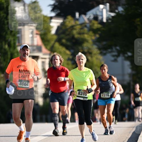 01.09.2024 - BARMER Alsterlauf Dr. Thomas Lammeyer http://msf.ph/oto/6919614 01.09.2024 09:51:32 Laufen 24, 8004, 8315, 8313, 2316 meine-sportfotos.de