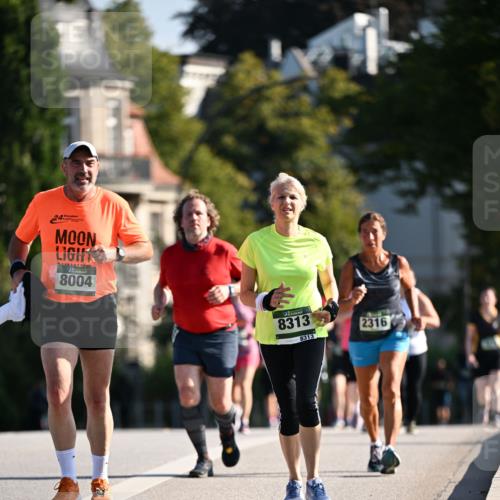 01.09.2024 - BARMER Alsterlauf Dr. Thomas Lammeyer http://msf.ph/oto/6919621 01.09.2024 09:51:32 Laufen 24, 1037, 8004, 8313, 8313, 2316 meine-sportfotos.de