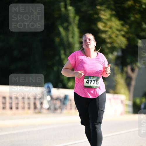 01.09.2024 - BARMER Alsterlauf Dr. Thomas Lammeyer http://msf.ph/oto/6920670 01.09.2024 09:52:19 Laufen 35, 4775 meine-sportfotos.de
