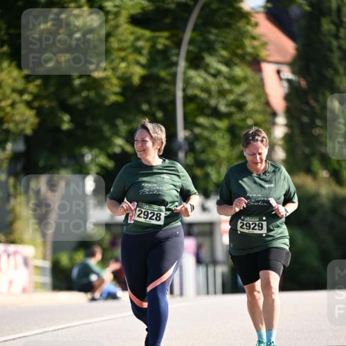 01.09.2024 - BARMER Alsterlauf Dr. Thomas Lammeyer http://msf.ph/oto/6920679 01.09.2024 09:52:31 Laufen 297, 2928, 2929 meine-sportfotos.de