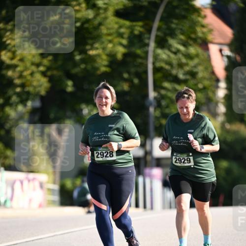01.09.2024 - BARMER Alsterlauf Dr. Thomas Lammeyer http://msf.ph/oto/6920700 01.09.2024 09:52:31 Laufen 2928, 2929 meine-sportfotos.de