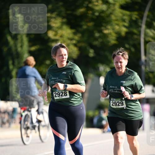01.09.2024 - BARMER Alsterlauf Dr. Thomas Lammeyer http://msf.ph/oto/6920753 01.09.2024 09:52:33 Laufen 2928, 2929 meine-sportfotos.de