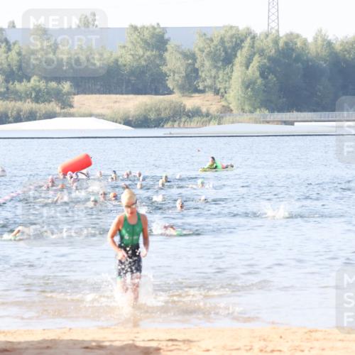 01.09.2024 - 17. Tribühne Triathlon Luisa Fischer http://msf.ph/oto/6921171 01.09.2024 09:02:10 Schwimmen 30, 42 meine-sportfotos.de