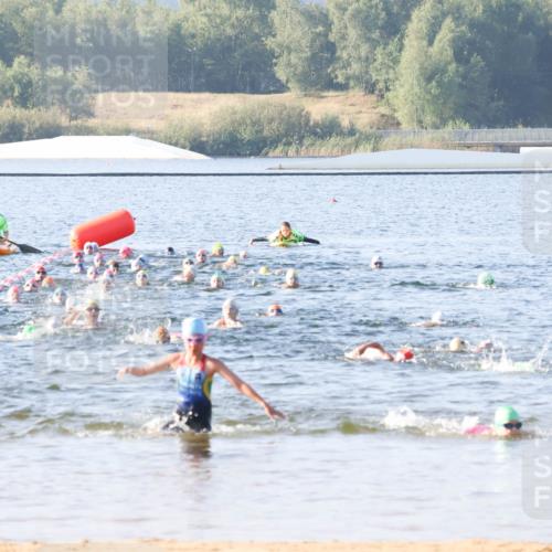01.09.2024 - 17. Tribühne Triathlon Luisa Fischer http://msf.ph/oto/6921224 01.09.2024 09:02:23 Schwimmen 7, 11, 40, 42 meine-sportfotos.de