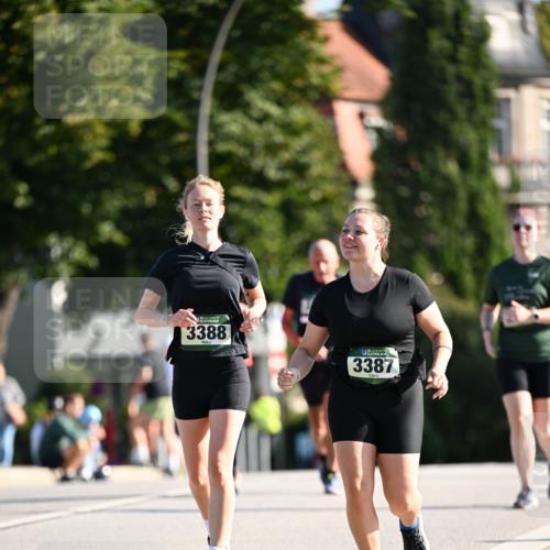 01.09.2024 - BARMER Alsterlauf Dr. Thomas Lammeyer http://msf.ph/oto/6921441 01.09.2024 09:54:12 Laufen 3388, 3387 meine-sportfotos.de