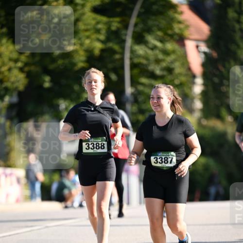 01.09.2024 - BARMER Alsterlauf Dr. Thomas Lammeyer http://msf.ph/oto/6921467 01.09.2024 09:54:13 Laufen 35, 3388, 5, 3387 meine-sportfotos.de