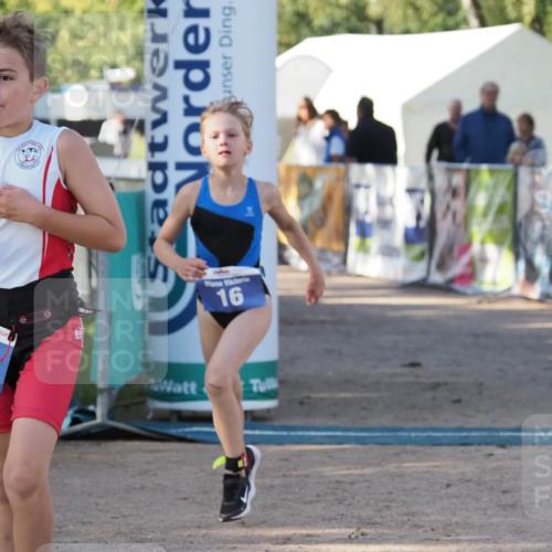 01.09.2024 - 17. Tribühne Triathlon Michael Strokosch http://msf.ph/oto/6941671 01.09.2024 09:17:23 Ziel 16, 26 meine-sportfotos.de