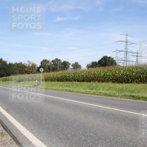01.09.2024 - 17. Tribühne Triathlon H.Heesch http://msf.ph/oto/6944118 01.09.2024 11:47:06 Radfahren 456, 457, 512, 712 meine-sportfotos.de