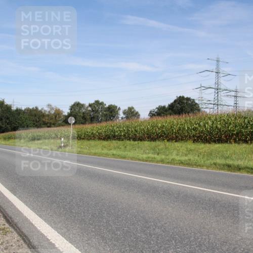 01.09.2024 - 17. Tribühne Triathlon H.Heesch http://msf.ph/oto/6945407 01.09.2024 12:11:31 Radfahren 546, 578, 647, 663, 689, 704 meine-sportfotos.de