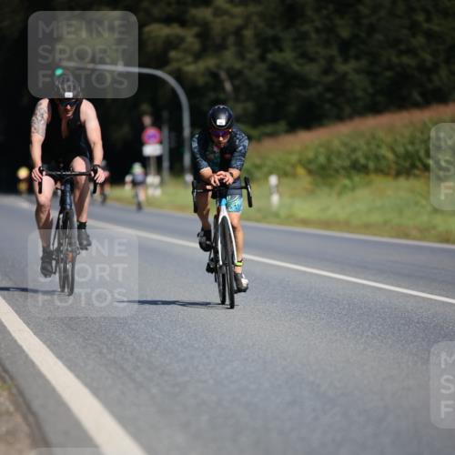 01.09.2024 - 17. Tribühne Triathlon H.Heesch http://msf.ph/oto/6946449 01.09.2024 11:53:02 Radfahren 473, 483, 486, 529, 584, 704 meine-sportfotos.de
