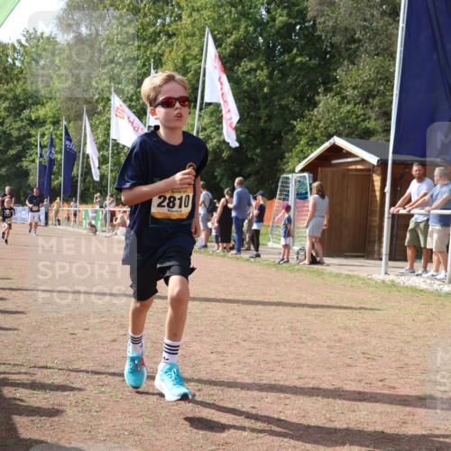 08.09.2024 - Airport Race Strokosch-Dieckow http://msf.ph/oto/6978202 08.09.2024 12:10:36 Ziel 394, 1360, 2560, 2616, 2747, 2748, 2749, 2783, 2810, 2902 meine-sportfotos.de