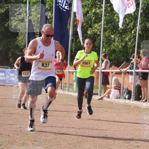 08.09.2024 - Airport Race Strokosch-Dieckow http://msf.ph/oto/6978375 08.09.2024 12:10:54 Ziel 837, 952, 1237, 2584, 2619, 2629, 2638, 2690, 2893, 2901, 3023 meine-sportfotos.de