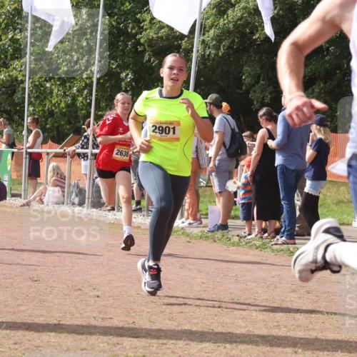 08.09.2024 - Airport Race Strokosch-Dieckow http://msf.ph/oto/6978396 08.09.2024 12:10:56 Ziel 837, 1237, 2584, 2619, 2638, 2690, 2893, 2901 meine-sportfotos.de