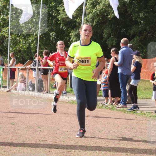 08.09.2024 - Airport Race Strokosch-Dieckow http://msf.ph/oto/6978400 08.09.2024 12:10:56 Ziel 837, 1237, 2584, 2619, 2638, 2690, 2893, 2901 meine-sportfotos.de