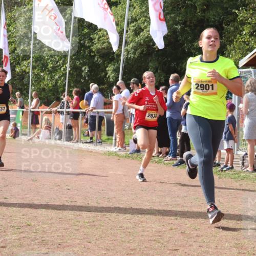 08.09.2024 - Airport Race Strokosch-Dieckow http://msf.ph/oto/6978409 08.09.2024 12:10:57 Ziel 837, 1237, 2584, 2619, 2638, 2690, 2893, 2901 meine-sportfotos.de