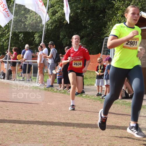 08.09.2024 - Airport Race Strokosch-Dieckow http://msf.ph/oto/6978413 08.09.2024 12:10:57 Ziel 837, 1237, 2584, 2619, 2638, 2690, 2893, 2901 meine-sportfotos.de