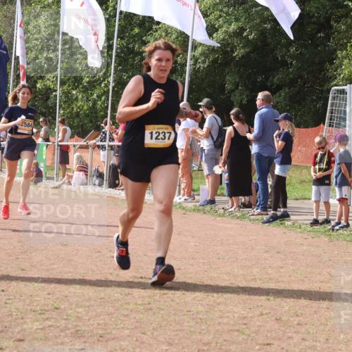 08.09.2024 - Airport Race Strokosch-Dieckow http://msf.ph/oto/6978443 08.09.2024 12:10:59 Ziel 1237, 2584, 2619, 2638, 2690, 2755, 2756, 2893, 2901 meine-sportfotos.de