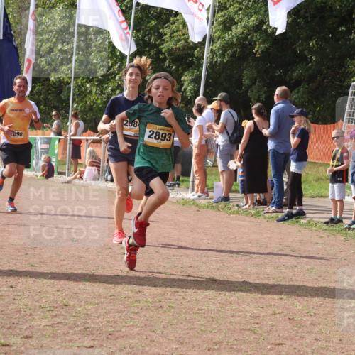 08.09.2024 - Airport Race Strokosch-Dieckow http://msf.ph/oto/6978465 08.09.2024 12:11:00 Ziel 1237, 2584, 2619, 2690, 2755, 2756, 2893 meine-sportfotos.de