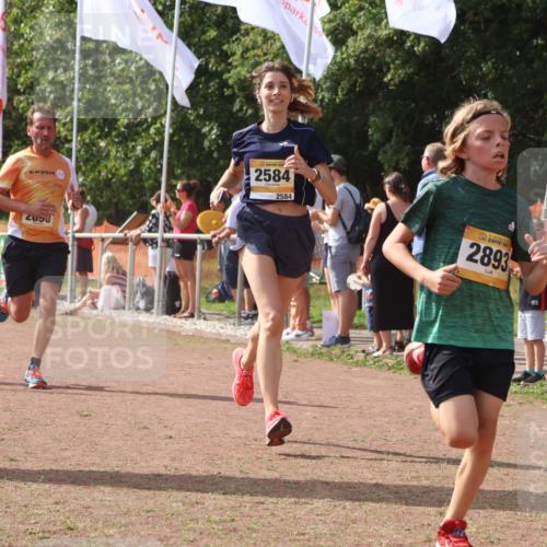 08.09.2024 - Airport Race Strokosch-Dieckow http://msf.ph/oto/6978475 08.09.2024 12:11:01 Ziel 1237, 2584, 2619, 2690, 2755, 2756, 2893 meine-sportfotos.de